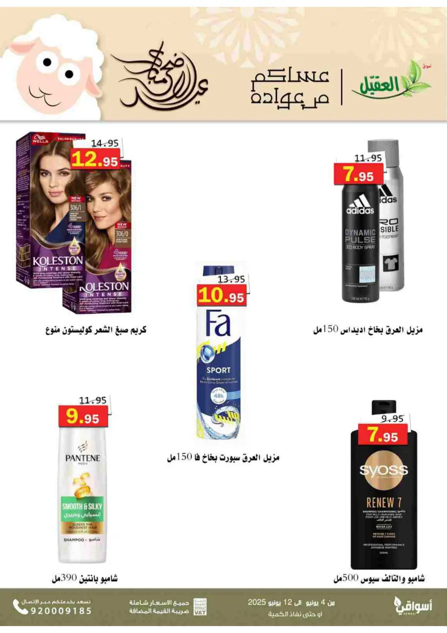 Offers In Aqial Markets Hafar Al Batin